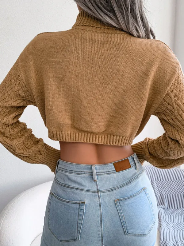 Cozy Autumn-Winter Self Design Long Sleeve Sweater