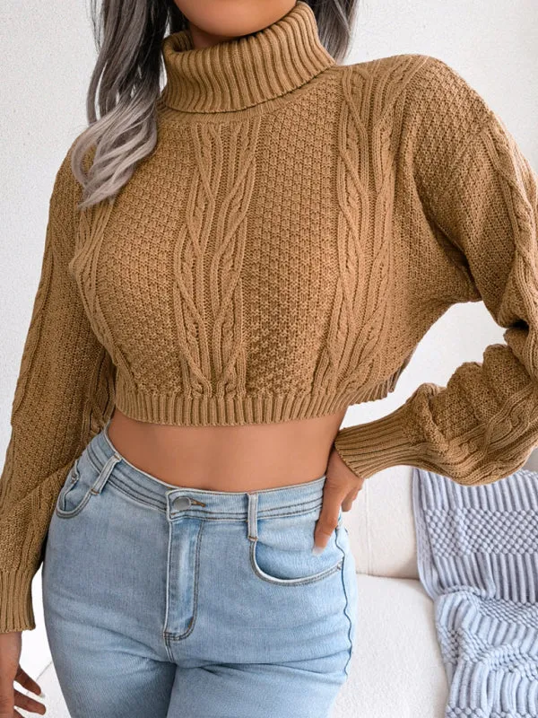 Cozy Autumn-Winter Self Design Long Sleeve Sweater