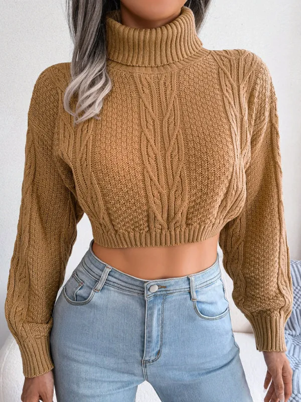 Cozy Autumn-Winter Self Design Long Sleeve Sweater